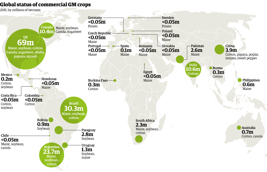 world GMO crops